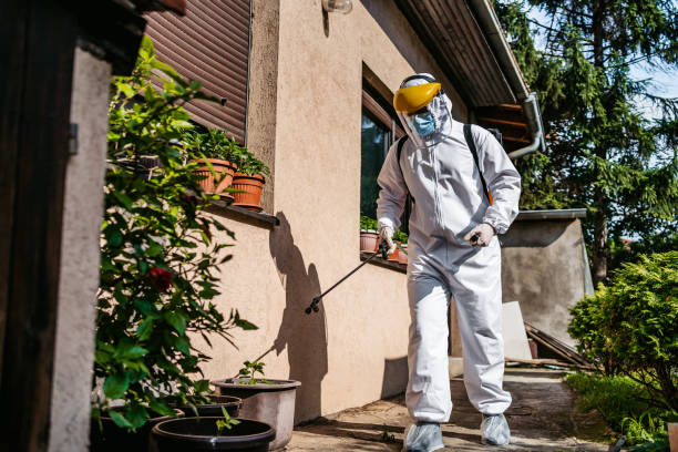 Professional Pest Control in Lebanon, KY