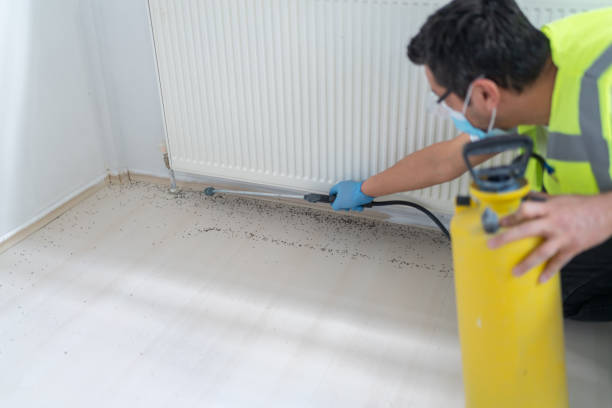 Best Ant Control Services  in Lebanon, KY
