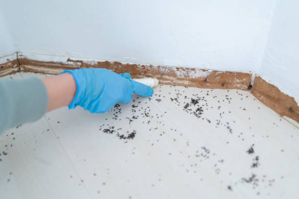 Best Best Pest Control Companies  in Lebanon, KY
