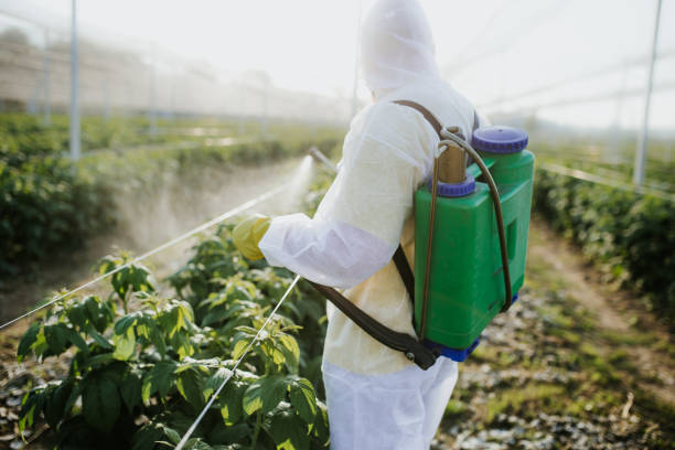 Pest Prevention Services in Lebanon, KY
